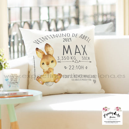 Cojín nacimiento de bebé personalizado con nombre| Modelo Conejito Max| Funda desenfundable (35cm x 35cm 40cm x 40cm)